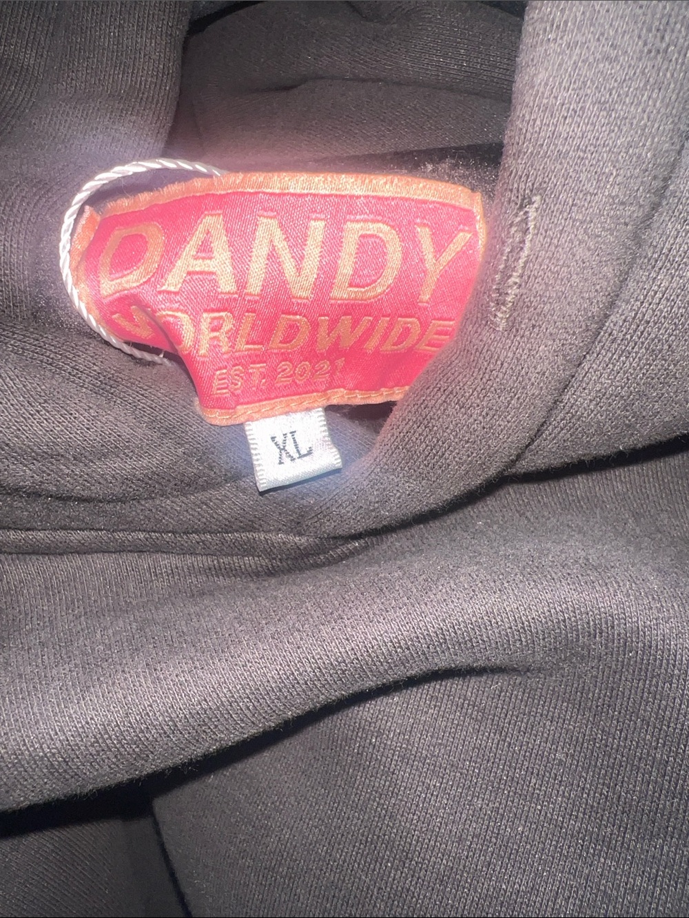 DANDY Worldwide Graphic Hoodie with Heart Sleeve - Picture 2 of 6